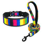 Load image into Gallery viewer, Lighted dog collars