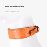 Load image into Gallery viewer, Poodle Collar - Poodles World
