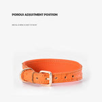 Load image into Gallery viewer, Poodle Fashion Collar - Poodles World