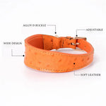 Load image into Gallery viewer, Poodle Fashion Collar - Poodles World