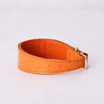 Load image into Gallery viewer, Poodle Fashion Collar - Poodles World