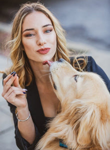 AKC - Guide to Dog Breeds, Training, and Events