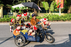 The Heartwarming Story Behind the Video of a Motorbike Lady and Her Poodles