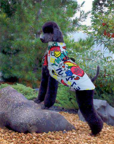Poodle Graffiti Waterproof Jacket