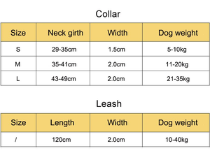 Braided Poodle Collar Leash Set