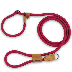 Hands-free dog leash