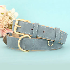 Personalized Dog Collars