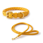 Load image into Gallery viewer, Braided Poodle Collar Leash Set

