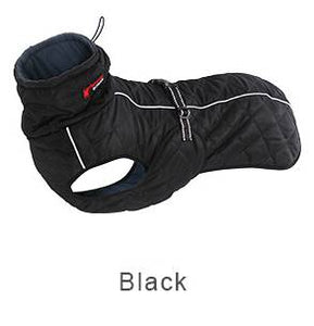 Poodle Waterproof Jacket