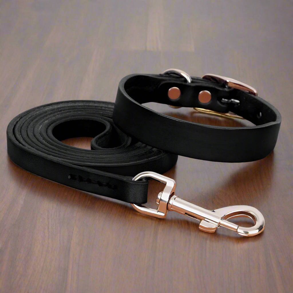 Black dog collar