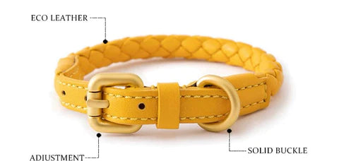 Braided Poodle Collar - Poodles World