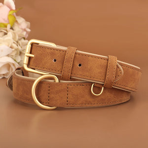 Brown dog collars