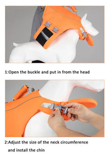 Canine Life Jacket - Poodles World