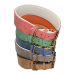 Load image into Gallery viewer, Custom Leather Dog Collars
