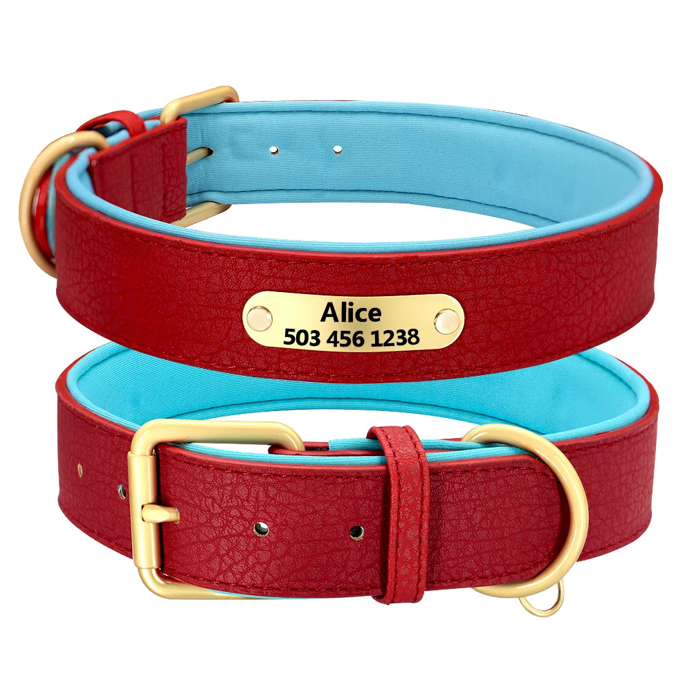 Custom Dog Collars