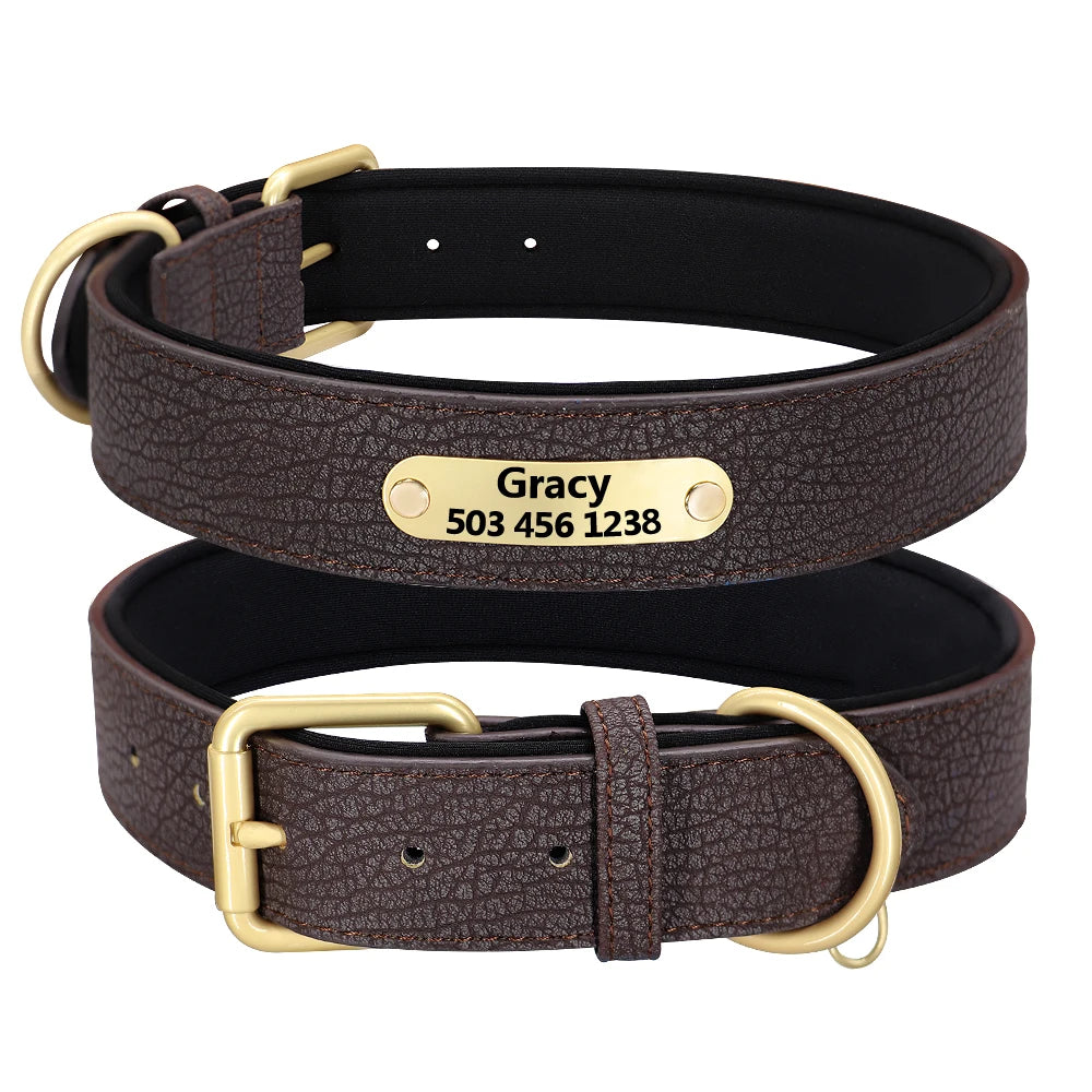 Custom Name Dog Collars