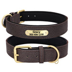 Load image into Gallery viewer, Custom Name Dog Collars
