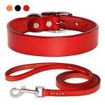 Load image into Gallery viewer, Dog Collar And Leash Set
