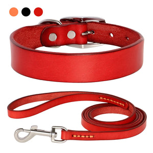 Dog Collar And Leash Set