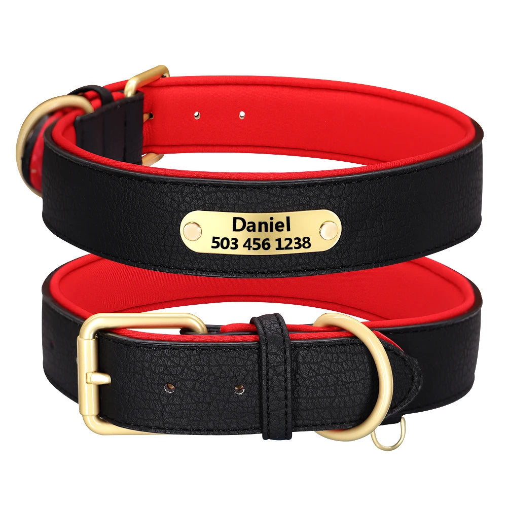 Dog Collar with Name