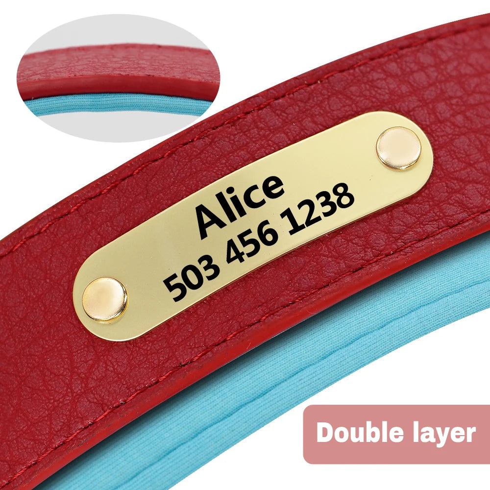 Dog Collar with Name Plate