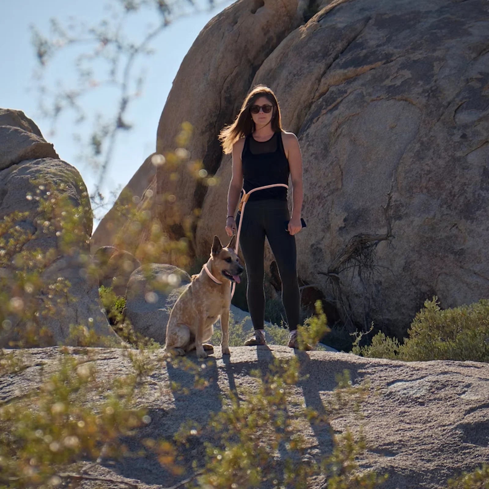 Dog Hands Free Leash