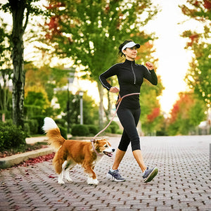 Dog Leash Hands Free