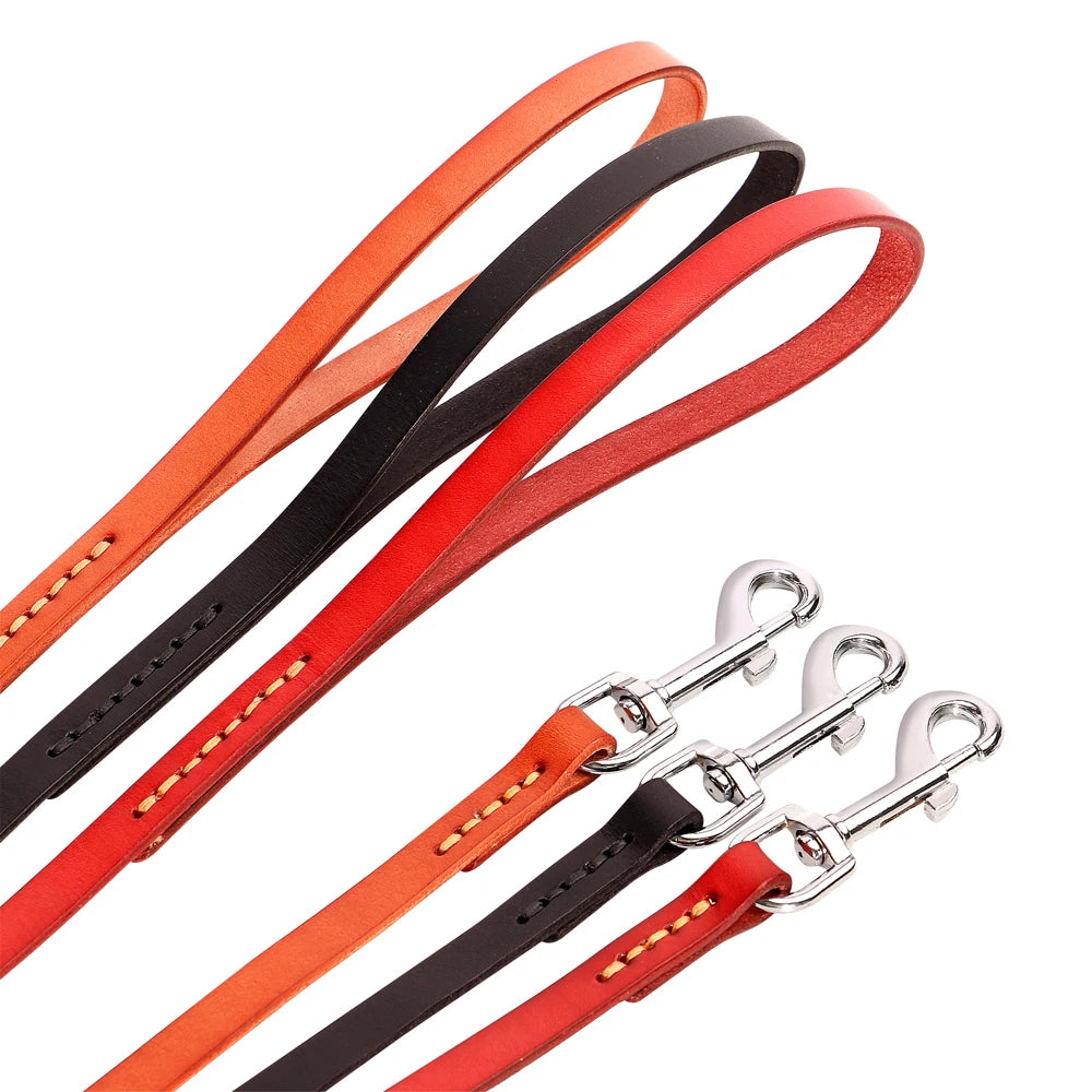 Dog Leashes