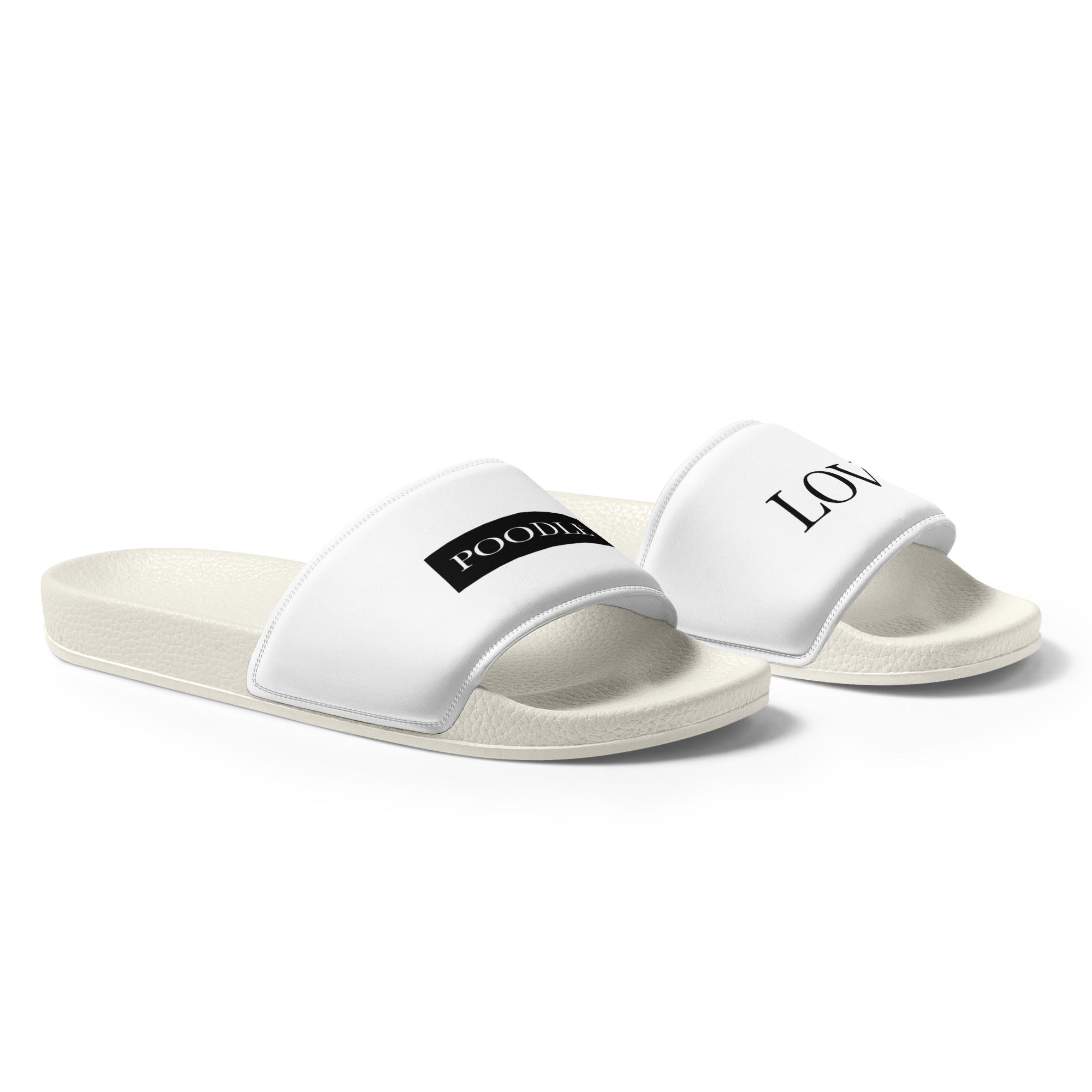 Dog slides shoes