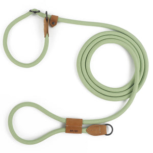 Hand free leashes dogs