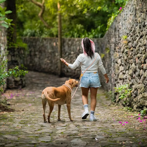 Hands-free Dog Leash