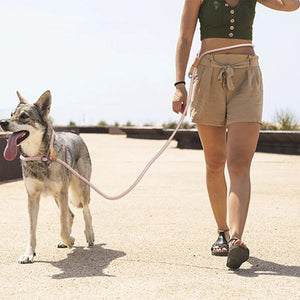 Hands Free Leash