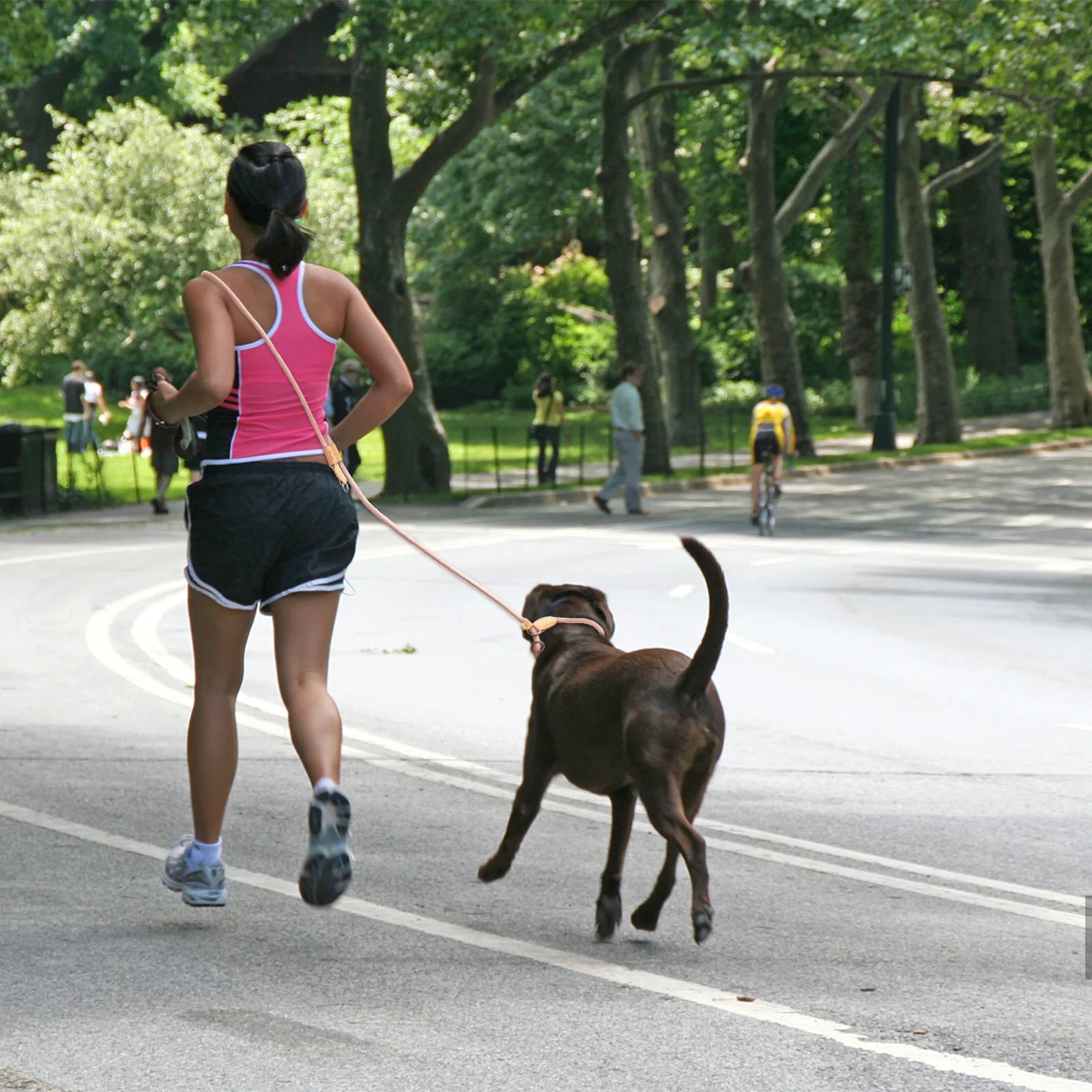 Hands Free Leashes