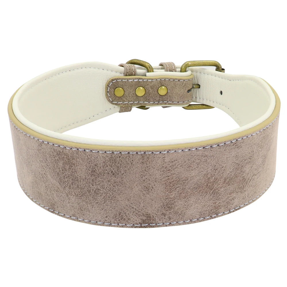 Large Dog Collar