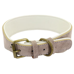 Large Dog Collars