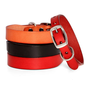 Leather Dog Collars