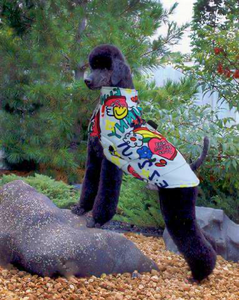 Poodle Graffiti Waterproof Jacket - Poodles World