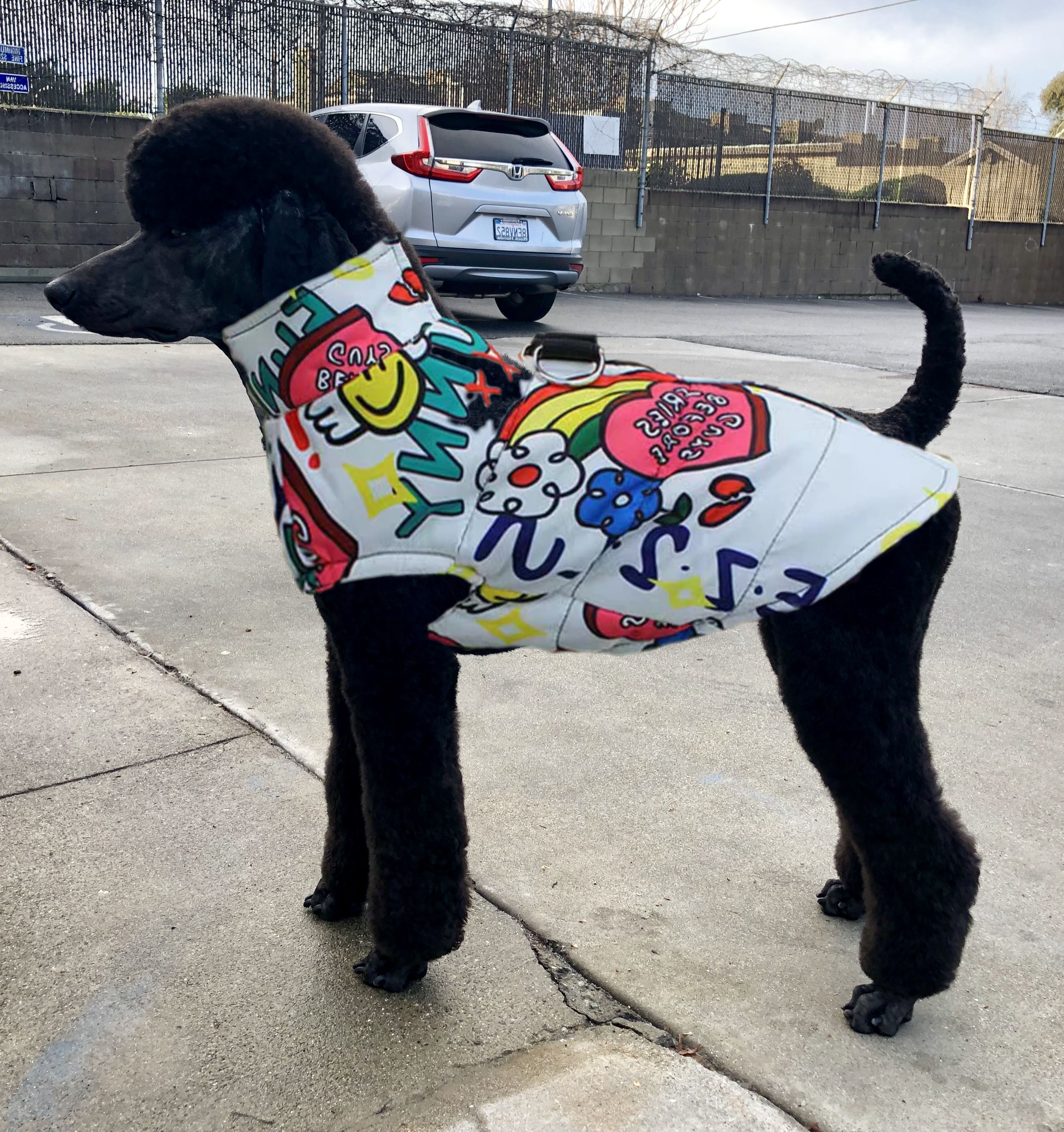 Poodle Graffiti Waterproof Jacket - Poodles World