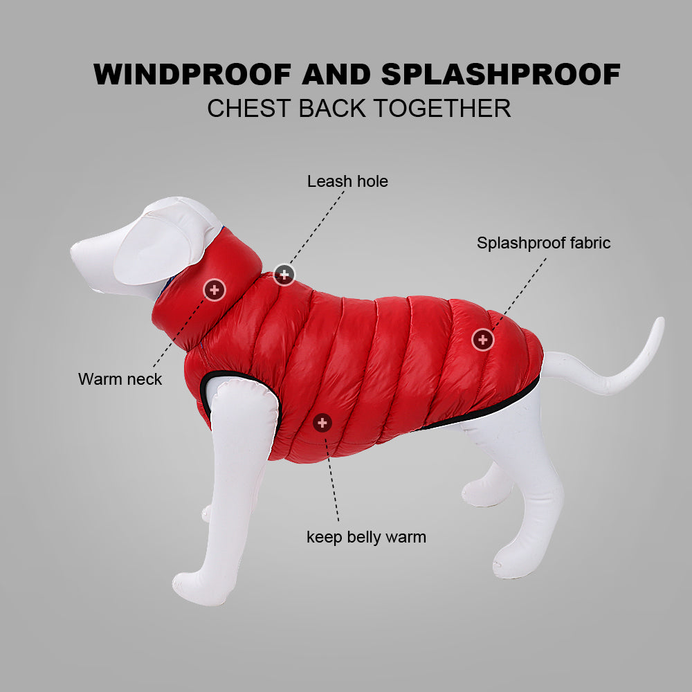 Poodle Reversible Waterproof Jacket - Poodles World