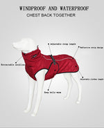 Load image into Gallery viewer, Poodle Waterproof Jacket - Poodles World
