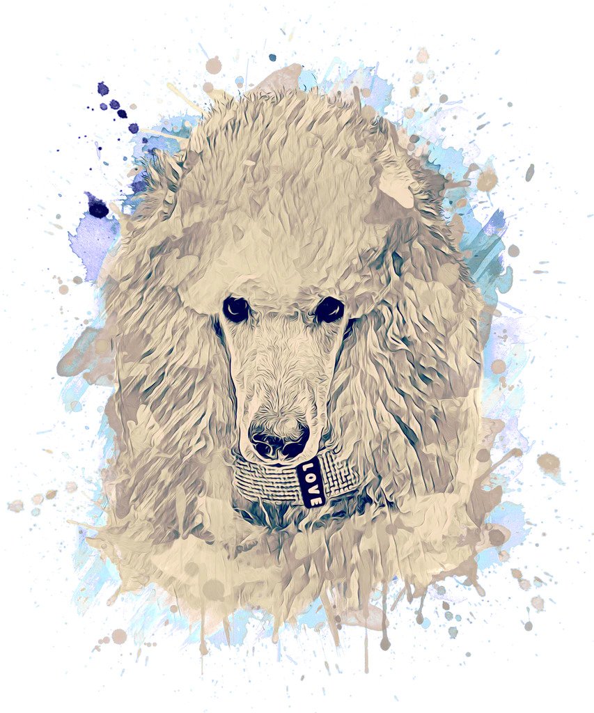 PW Royal Yearly Membership - Poodles World