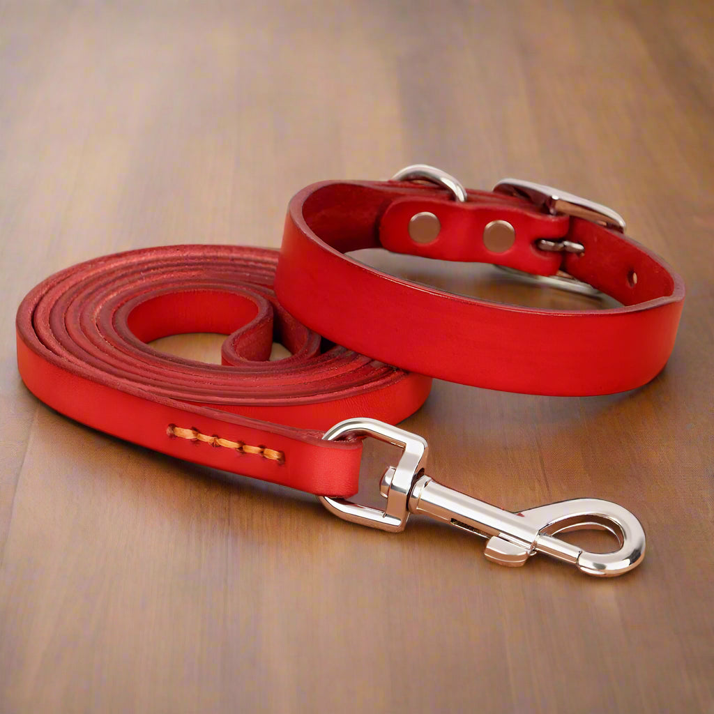 Red Dog Collar