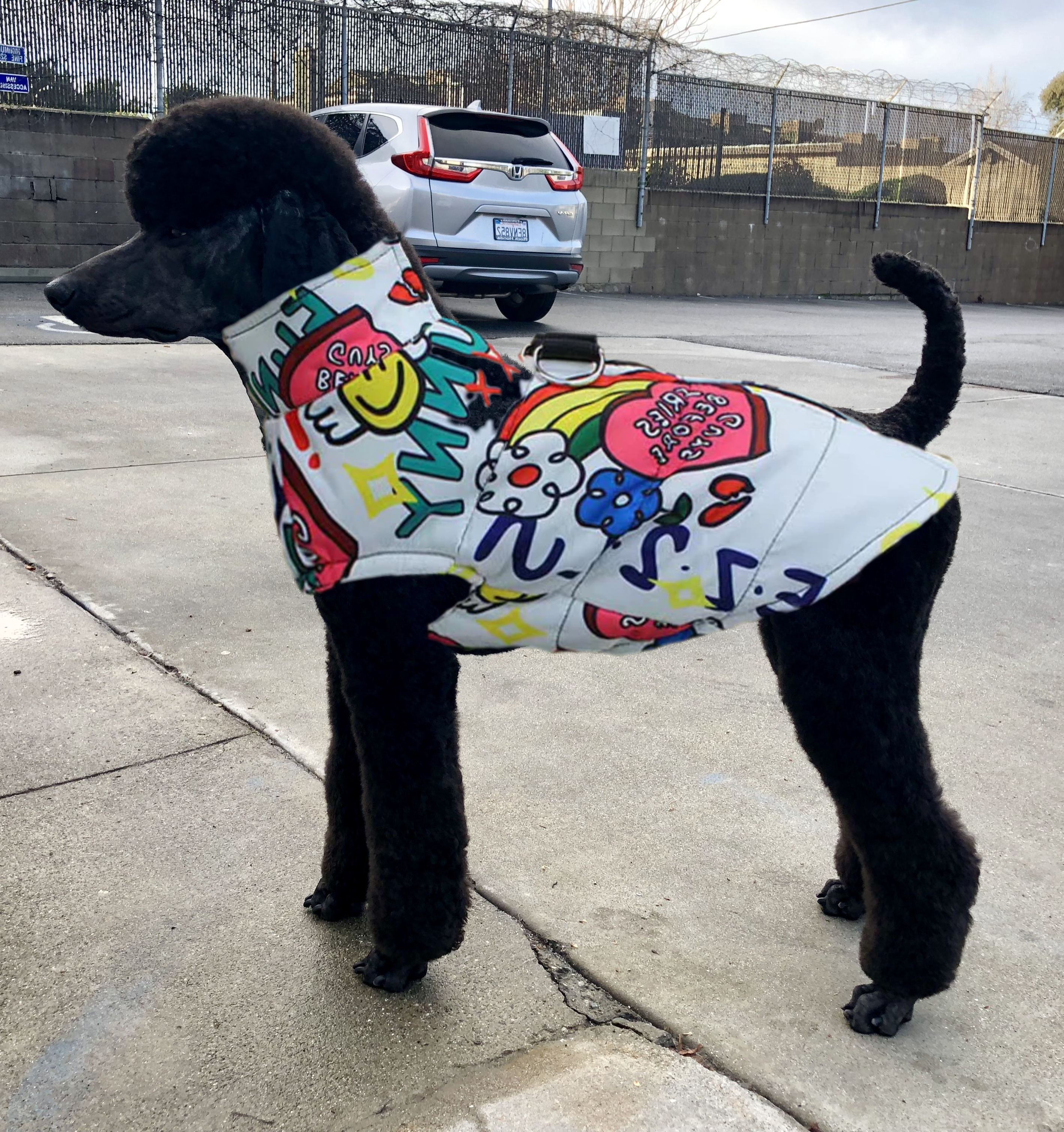 Poodle Graffiti Waterproof Jacket