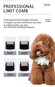 USB Rechargeable Poodle Grooming Kit