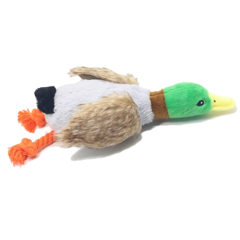 Plush Duck Sound Toy - Poodles World