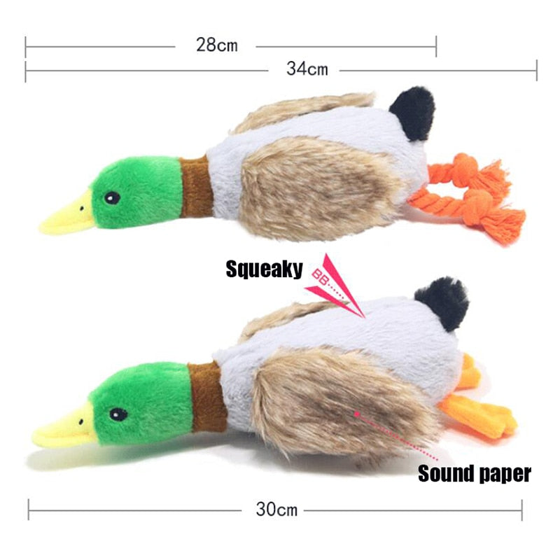 Plush Duck Sound Toy - Poodles World