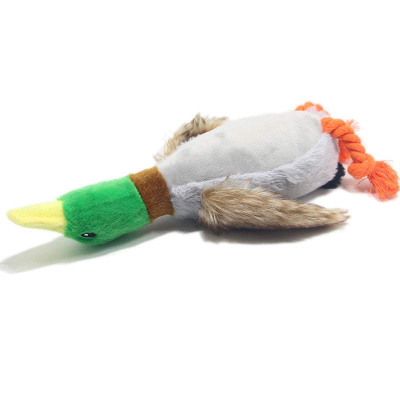 Plush Duck Sound Toy - Poodles World