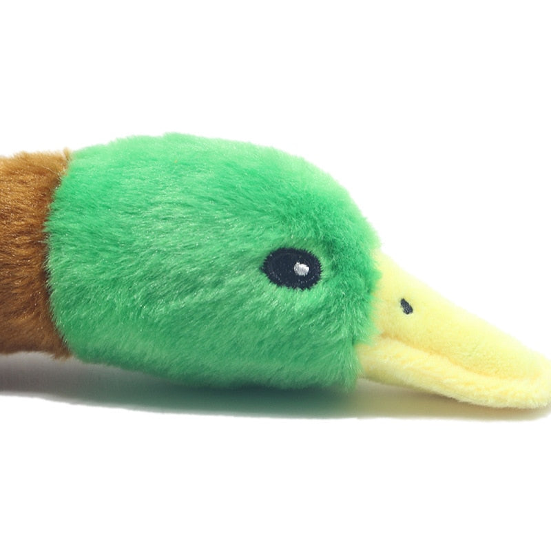 Plush Duck Sound Toy - Poodles World