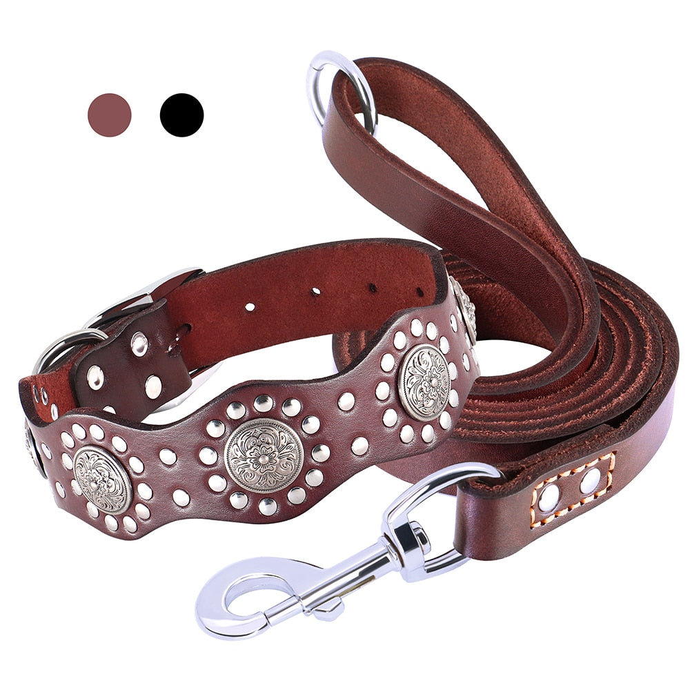 Poodle Leather Stud Collar Set - Poodles World