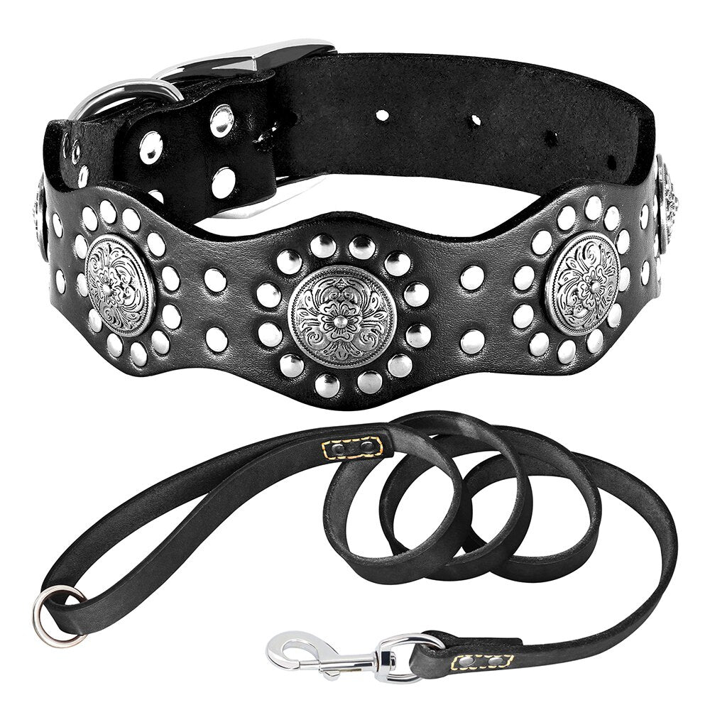 Poodle Leather Stud Collar Set - Poodles World